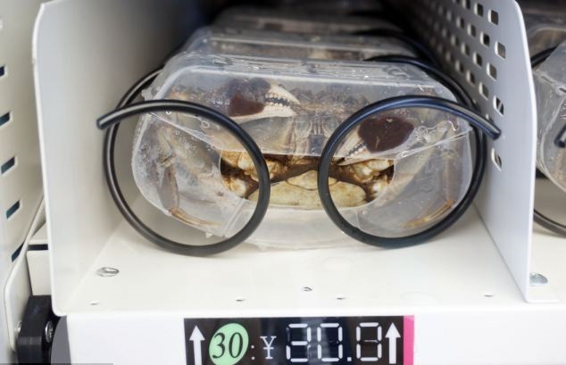 article-0-1BC68FDC000005DC-186_634x423