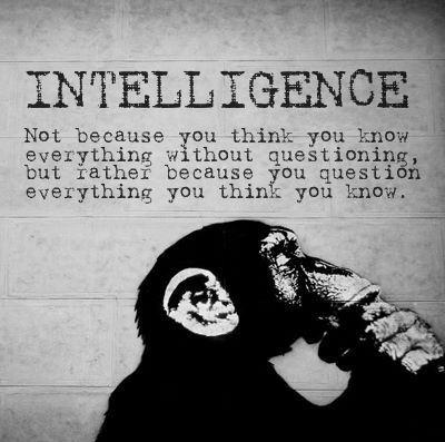 Intelligence